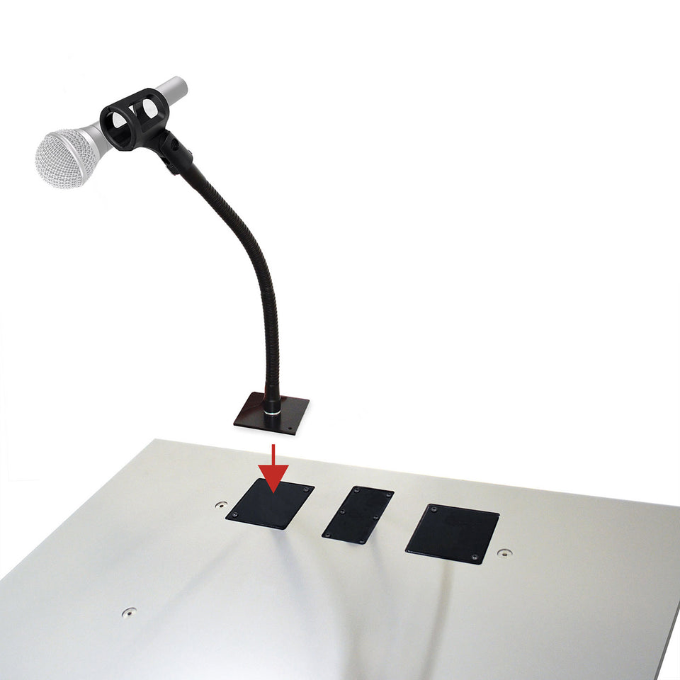 Microphone holder with wireless microphone installation